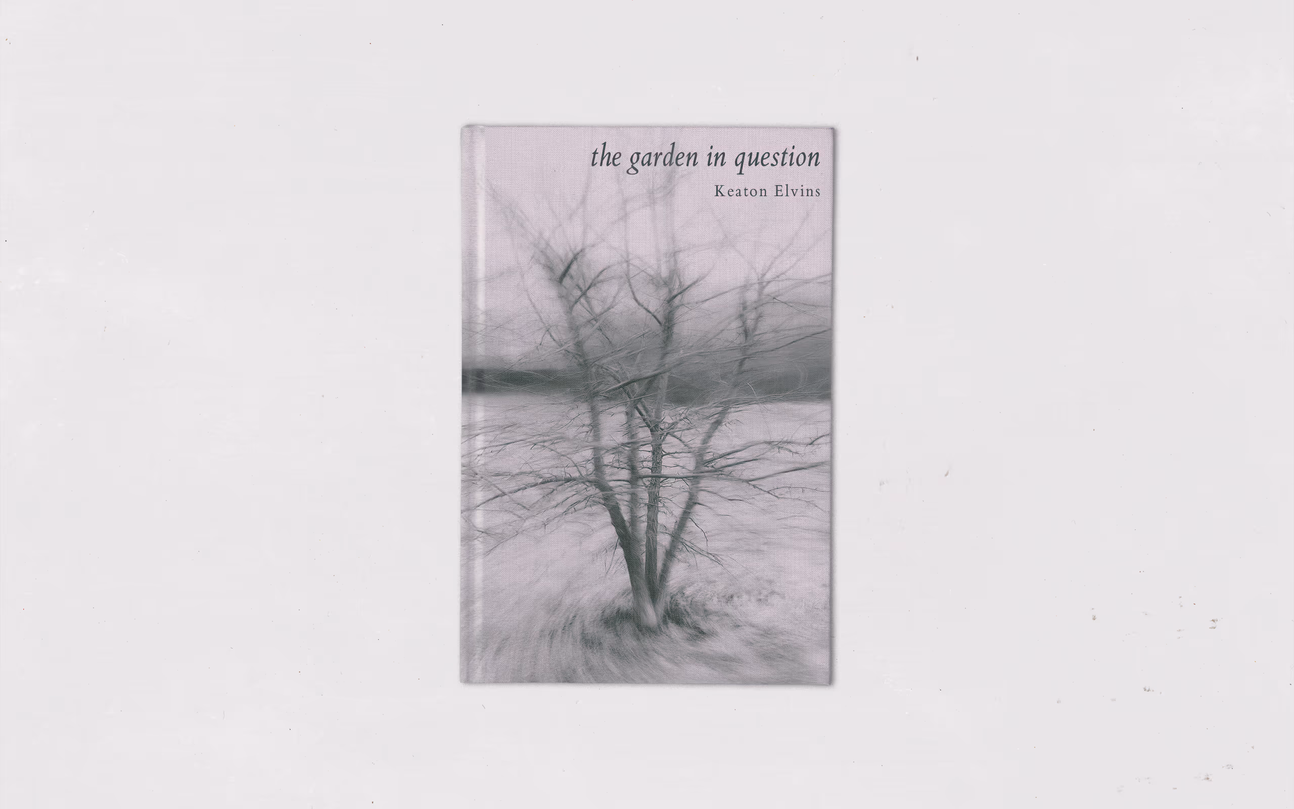 The Garden In Question