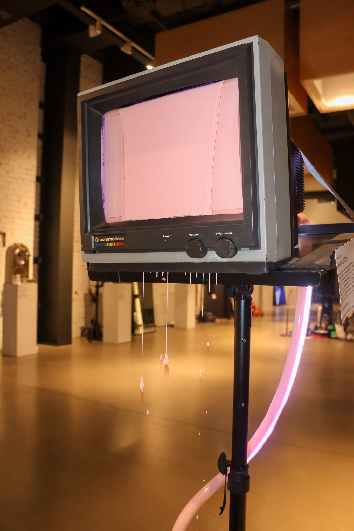 Perpetuum @ TIAT, June 2026